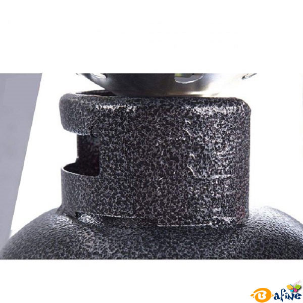 پیک نیک 5 کیلو