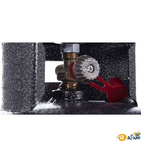 پیک نیک 5 کیلو